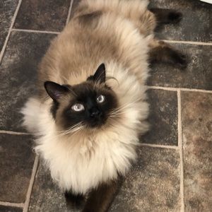 Meet your Posher, Beverly